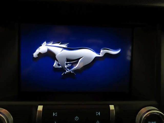 Ford Mustang Convertible GT 5.0 V8