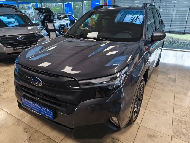 Subaru Forester AWD Exclusive