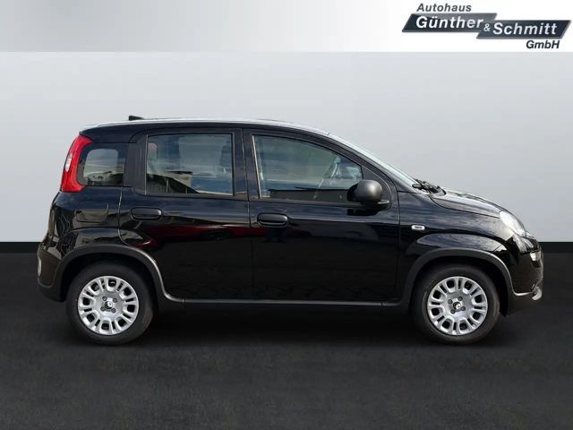 Fiat Panda 1.0 Pandina