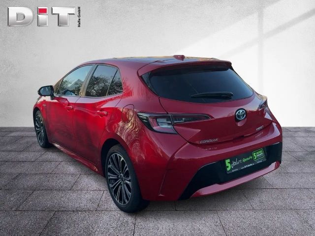 Toyota Corolla Team D