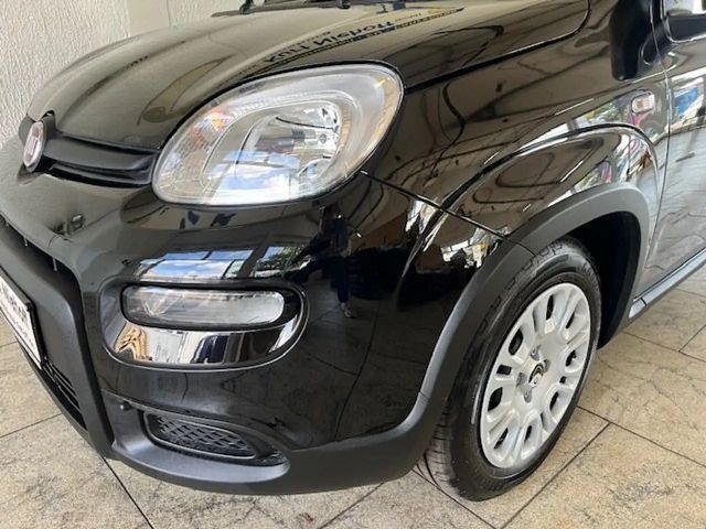 Fiat Panda Pandina +PDC + Radio +SOFORT+