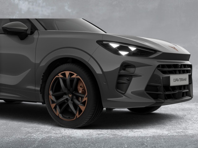 Cupra Terramar 2.0 TSI VZ