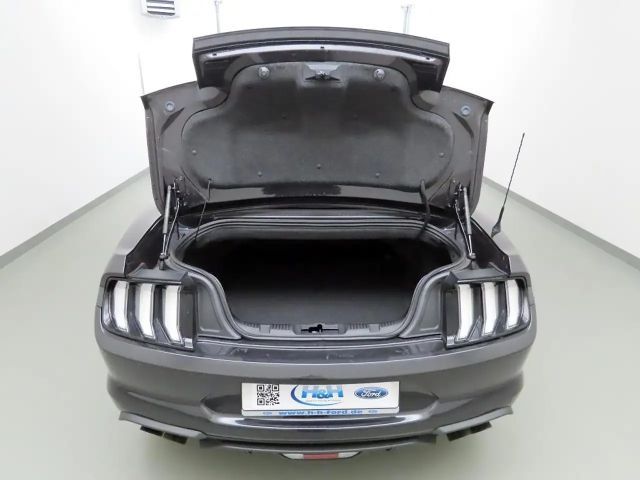 Ford Mustang Convertible GT 5.0 V8