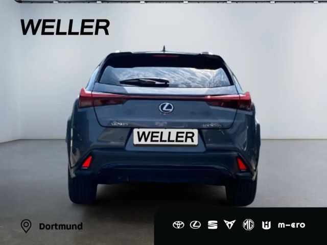 Lexus UX F Sport Sport
