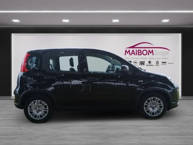 Fiat Panda Pandina 1.0 GSE