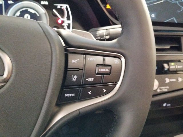 Lexus ES Business Line