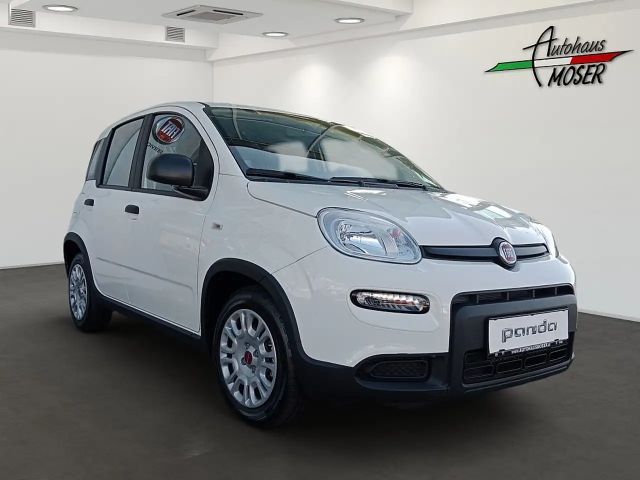 Fiat Panda 4x2