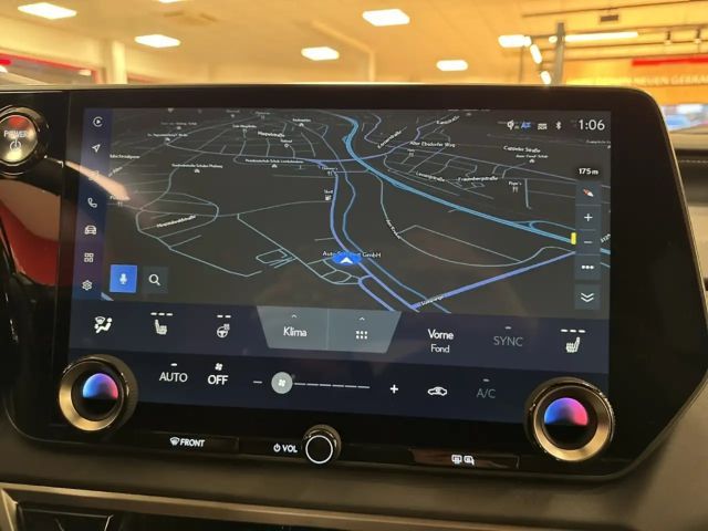 Lexus RX-Serie Business Line