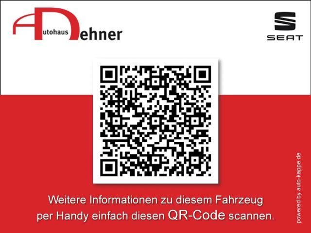 Cupra Tavascan Endurance