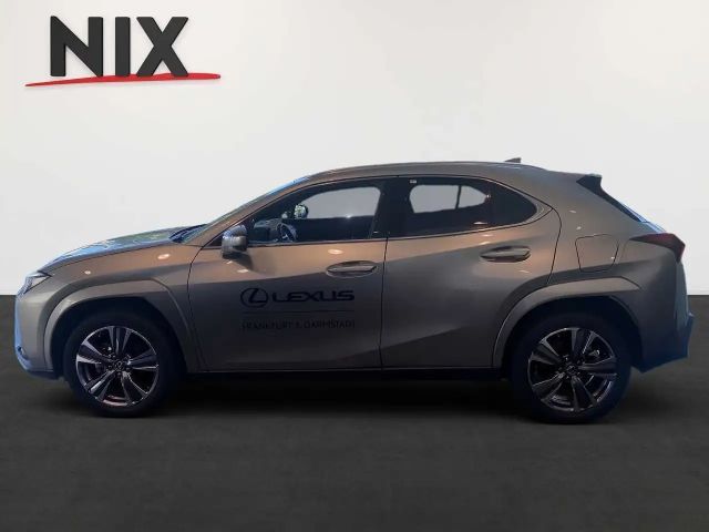 Lexus UX Luxury Line