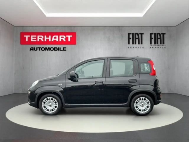 Fiat Panda /Pandina 1.0 Mild Hybrid/PDC/Start&Stopp