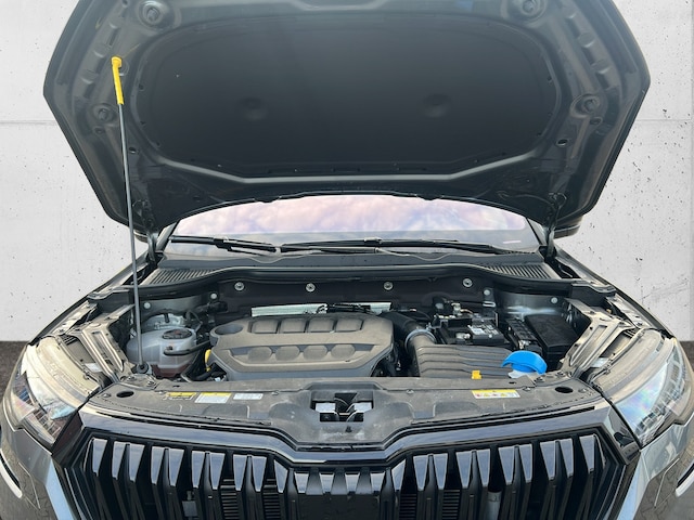 Skoda Karoq 4x4 Sportline