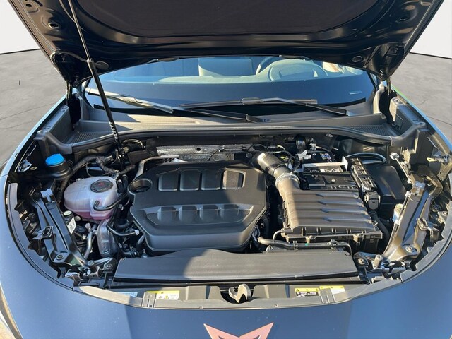 Cupra Terramar 2.0 TSI