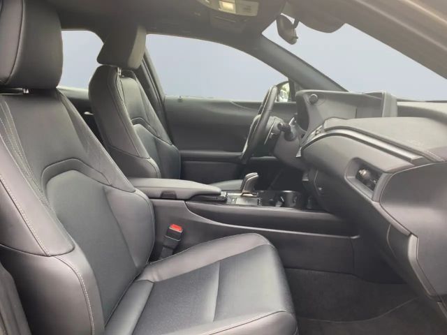 Lexus UX *Bi-LED*Leder*4x SHZ*el Sitze*Kamera*ACC*