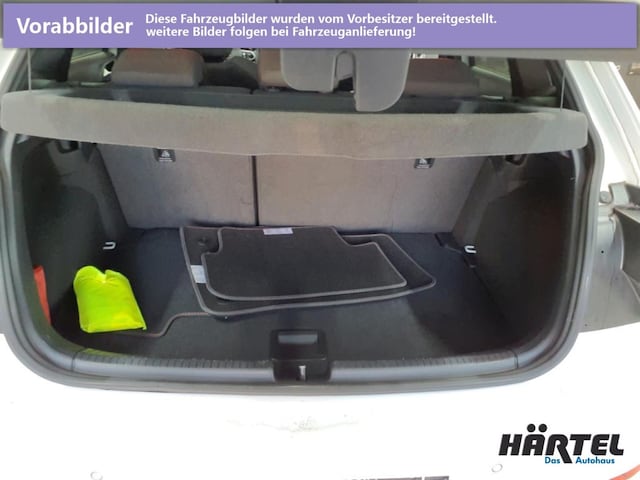 Volkswagen Polo 2.0 TSI DSG GTI