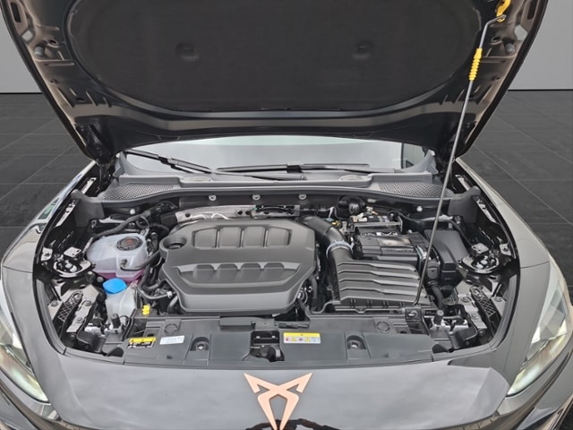 Cupra Formentor 2.0 TSI DSG