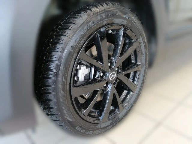 Mazda MX-30 R-EV MAKOTO MOD. CONF. PREISHIT