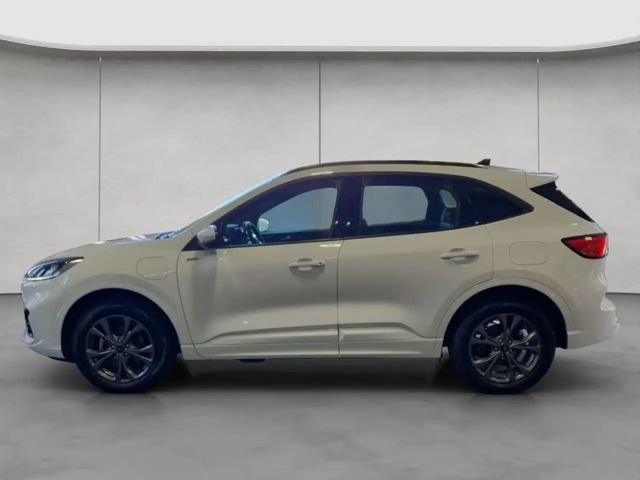 Ford Kuga Plug in Hybrid ST Line