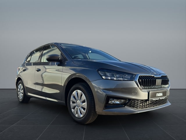 Skoda Fabia 1.0MPI 5-Gang *LED*SHZ*Bluetooth*PDC