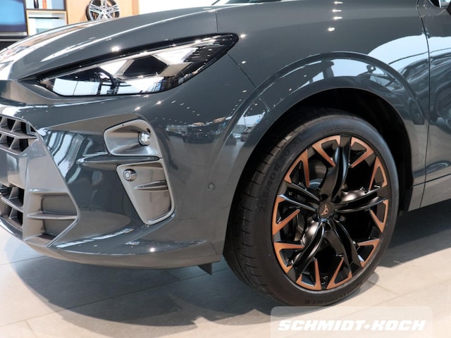 Cupra Terramar 2.0 TSI VZ