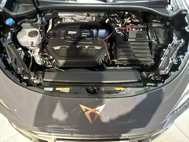 Cupra Terramar 2.0 TSI