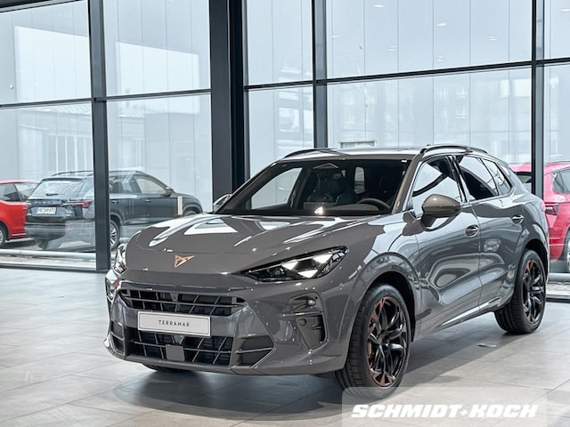 Cupra Terramar 2.0 TSI VZ