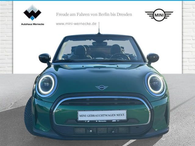 MINI Cooper Cabrio Cooper Cabrio DAB LED Komfortzg. Tempomat Shz