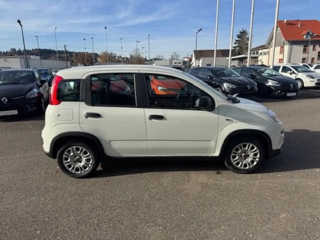 Fiat Panda Base, Mild Hybrid, Klima, DAB+