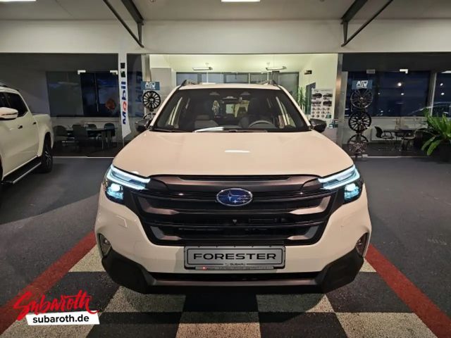 Subaru Forester Exclusive