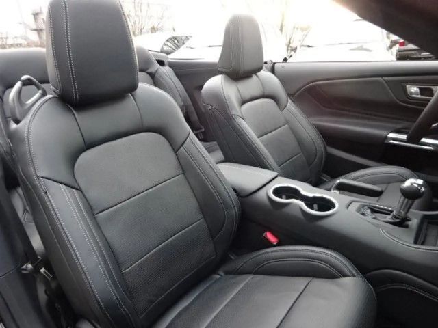 Ford Mustang Convertible GT 5.0 V8