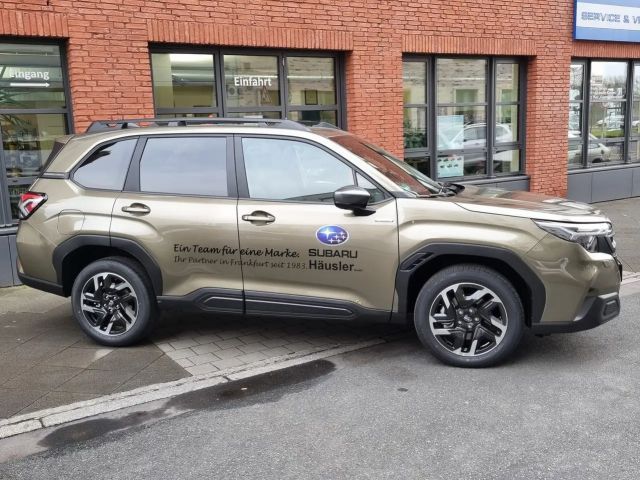 Subaru Forester Exclusive