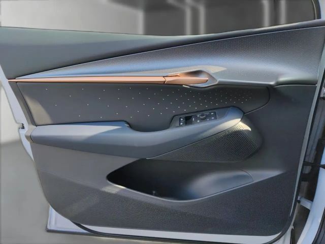 Cupra Tavascan Endurance