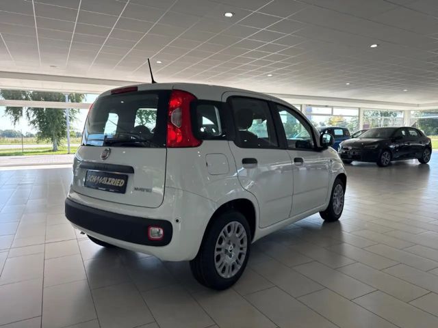 Fiat Panda 1.0 Mild Hybrid DAB Spurhalteass. Verkehrszeichene