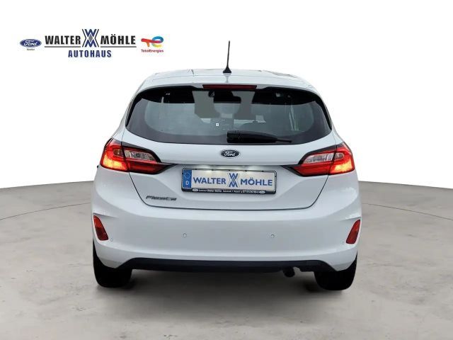 Ford Fiesta C&C *Winter-P.*