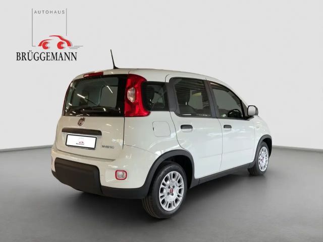 Fiat Panda 1,0 Hybrid Klima/DAB
