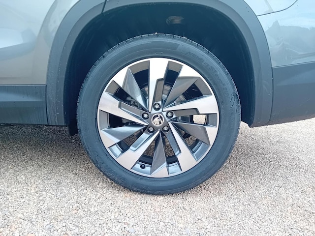 Skoda Kodiaq 4x4 Selection Suite