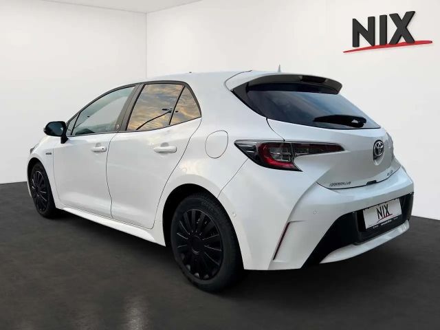 Toyota Corolla Hatchback Team D