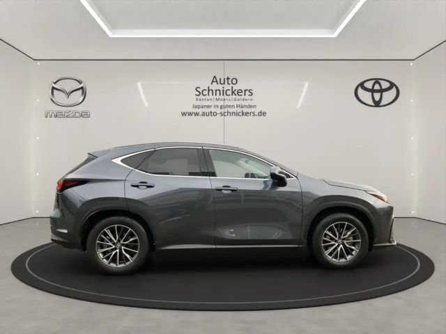 Lexus NX Executive Line