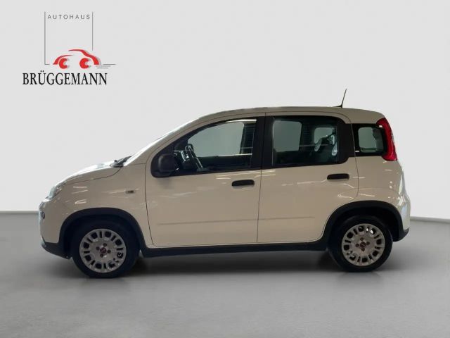 Fiat Panda 1,0 Hybrid Klima/DAB