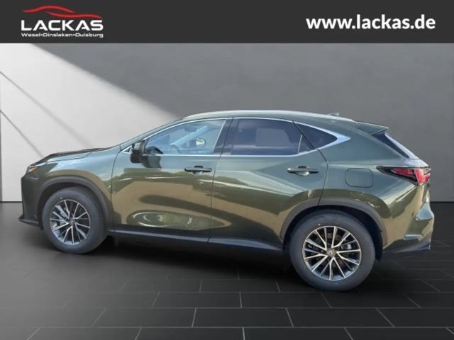Lexus NX h 243 PS ** 15 Jahre Gar antie ** Sitzklima Connect - Paket 360°Kamera