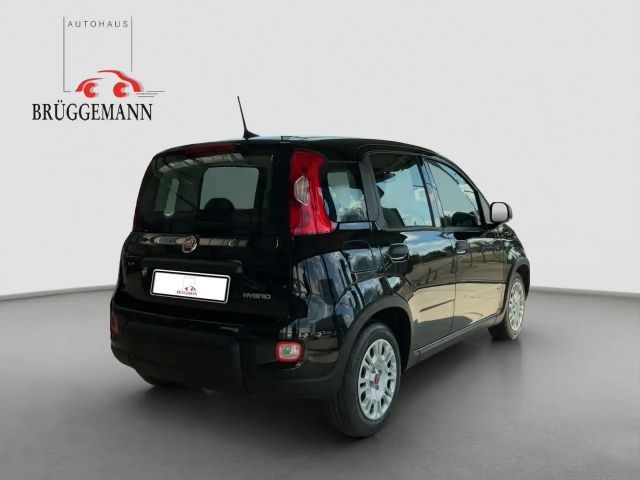 Fiat Panda 1.0 Hybrid