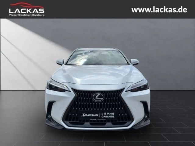 Lexus NX Executive Line