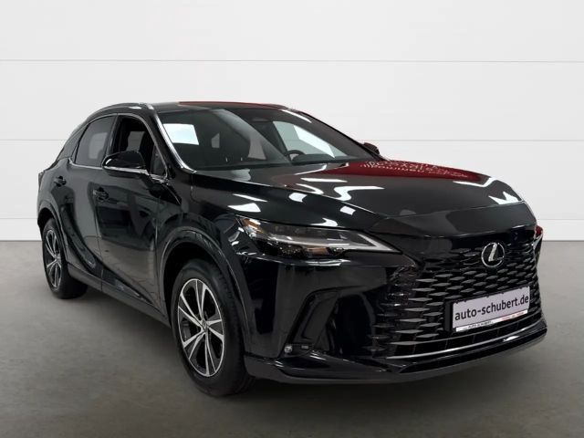Lexus RX-Serie Business Line