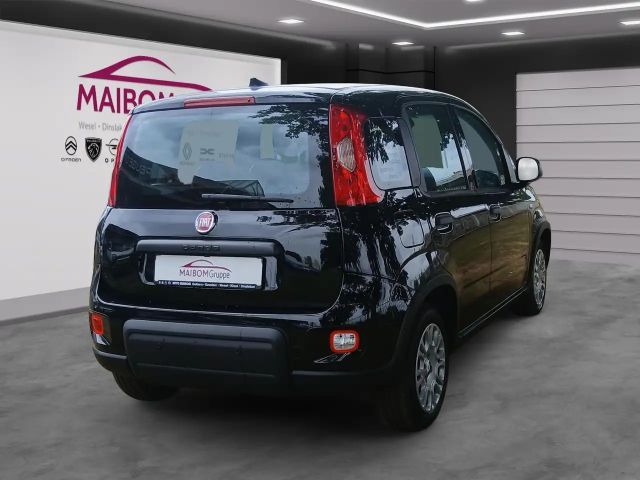 Fiat Panda Pandina 1.0 GSE