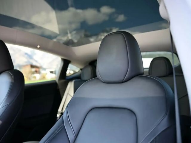 Tesla Model Y AWD Performance