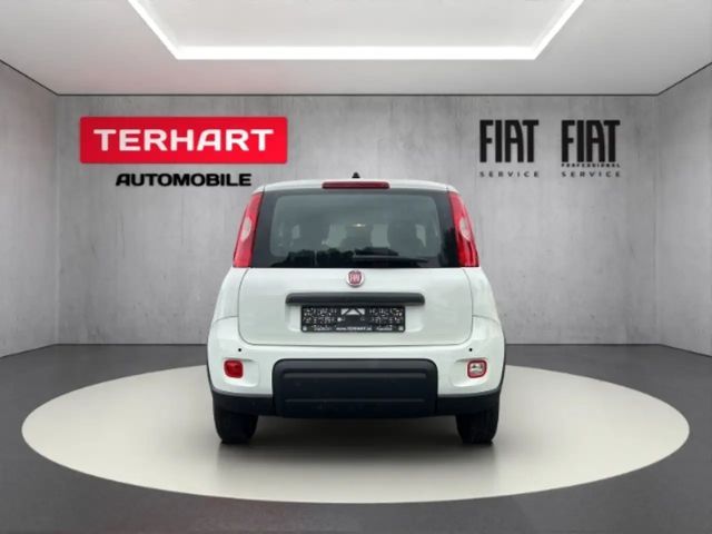Fiat Panda 1.0 Mild Hybrid/PDC/Start&Stopp/Nebelscheinwerfer