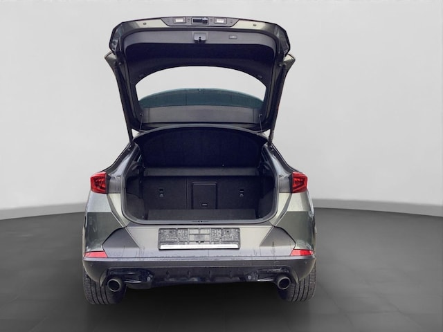 Cupra Formentor 2.0 TSI VZ