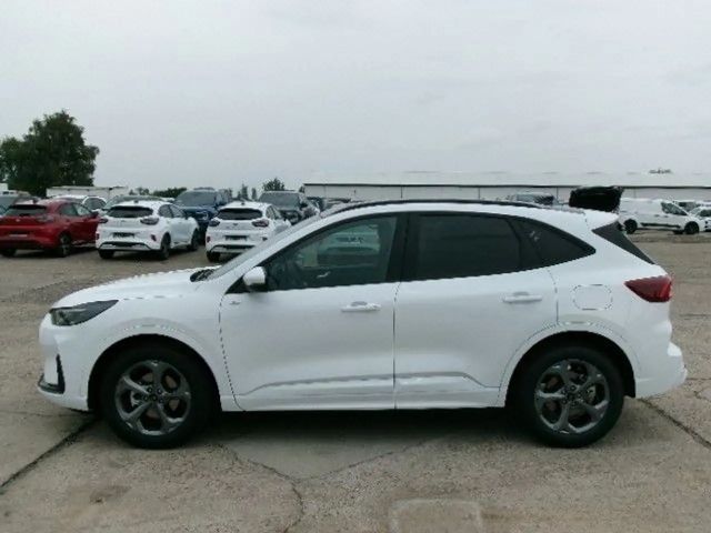 Ford Kuga ST Line