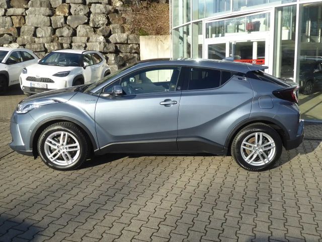 Toyota C-HR Team D
