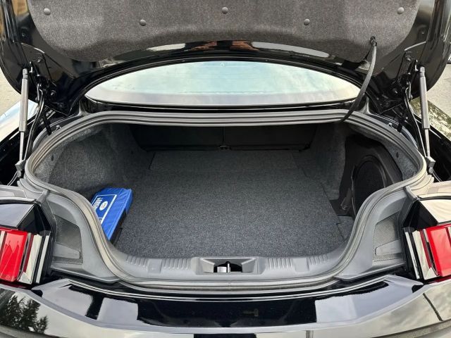 Ford Mustang GT 5.0 V8